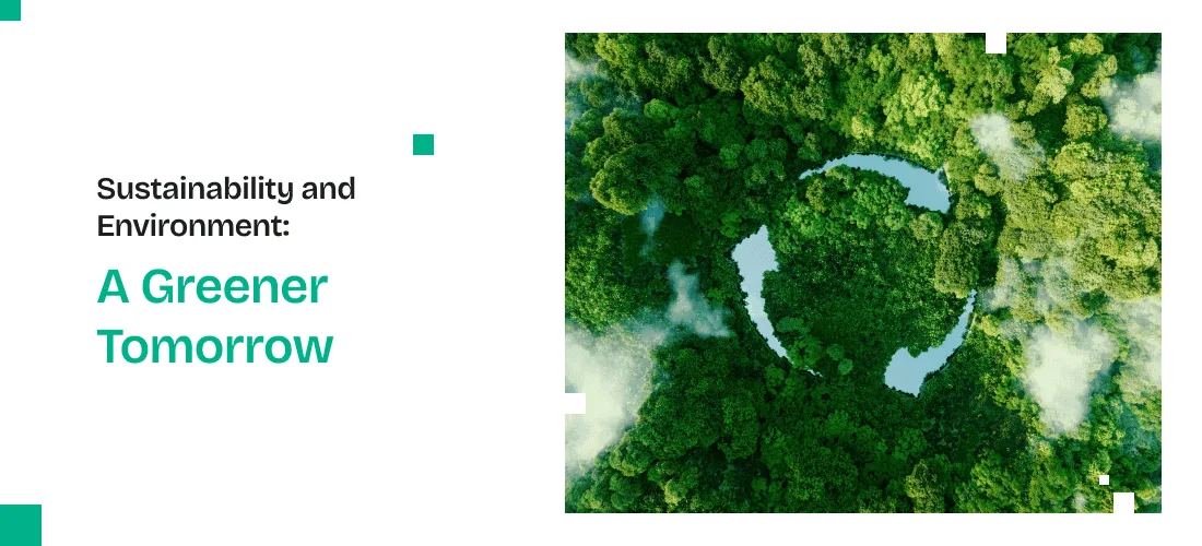 Sustainability and Environment