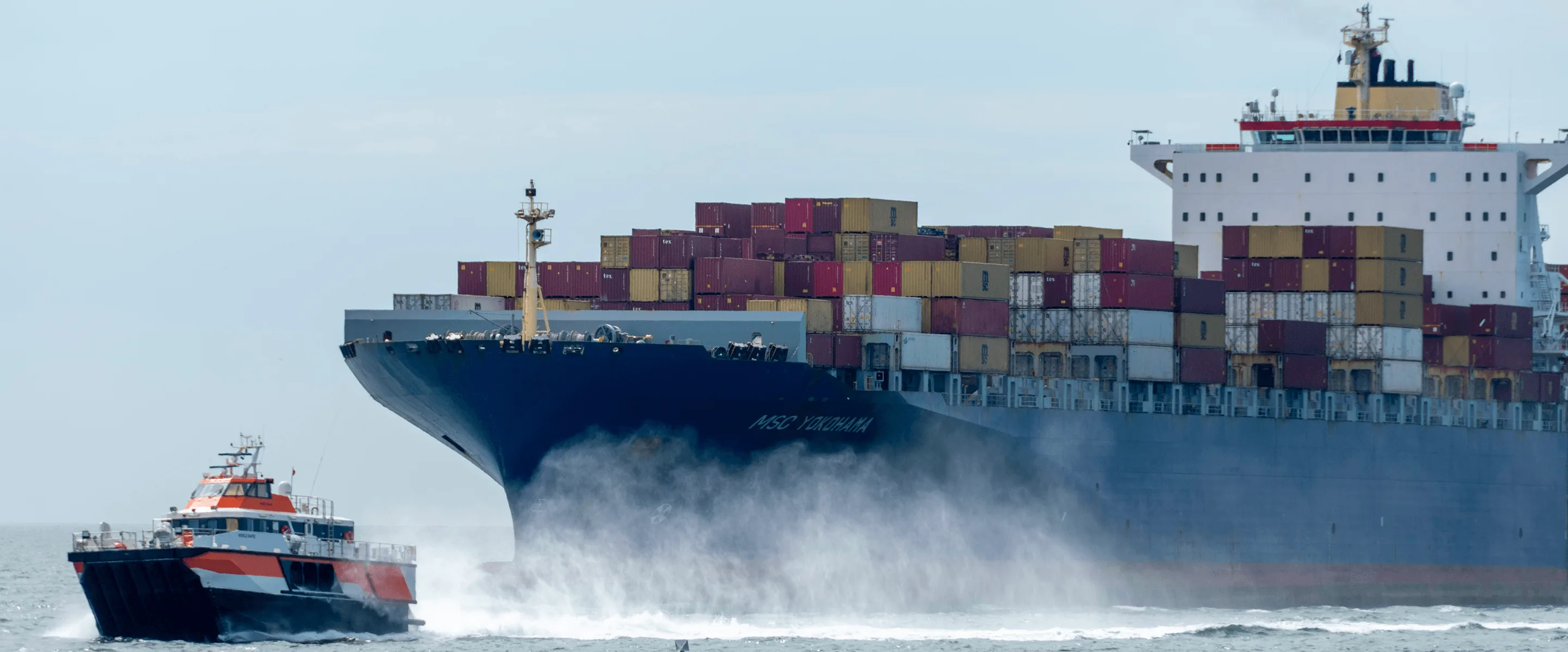 Maritime digital experience showcasing shipping operations vessel data and logistics workflows across devices