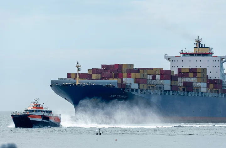 Maritime digital experience showcasing shipping operations vessel data and logistics workflows across devices